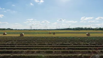 Expose Aussicht wie im Urlaub! 3-Zimmer Wohnung mit Eigengarten!