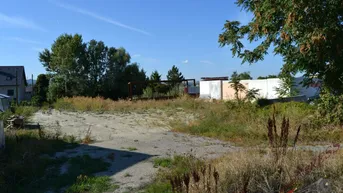 Expose Gutes Bauträgergrundstück in Münchendorf mit Bauentwicklung auch für Privatkunden geeignet