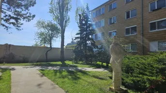 Expose Grünblick - 3 Zimmerwohnung nahe Draschepark - sofort beziehbar !!!