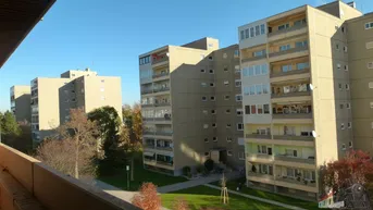 Expose Ruhelage in Traiskirchen 3-Zimmerwohnung, gute Raumaufteilung
