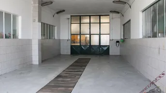 Expose Sehr gut gelegen Halle in Schwadorf für Hebebühnen geeignet
