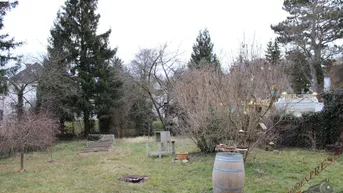 Expose Baugrund für moderne Villa oder Einfamilienhaus in Fischamend - Eigengrund
