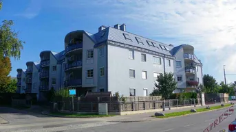 Expose charmante 3 Zimmerwohnung - Grünblick - Schwechat