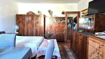 Expose Helle 1-Zimmer-Wohnung ca.35m² in bester Mödlinger Lage