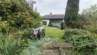 Expose Entzückendes Landhaus in Helmahof Ruhelage auf großem Grundstück