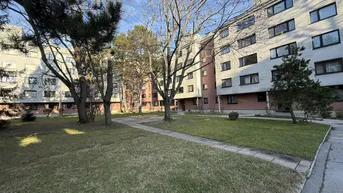 Expose Traumhafte, generalsanierte Dachgeschoßwohnung in 1230 Wien – Ruhelage; nur € 349.000,00!