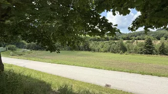 Expose Bromberg - Bucklige Welt - Neuparzellierung! Sonnige Baugrundstücke in leichter Hanglage ab € 76.450,00!