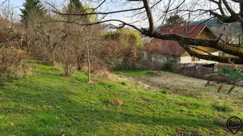 Expose PROVISIONSFREI: Mantscha: Baugrund | Süd-West Lage 886/1047
