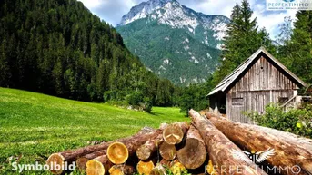 Expose Wald- und Wiesengrundstücke in Arzl im Pitztal