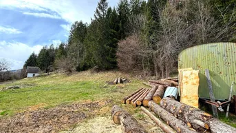 Expose Waldnaher Baugrund in Ruhelage