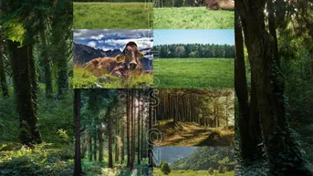 Expose Landwirtschaftliche Flächen in Arzl im Pitztal
