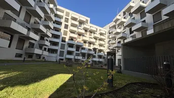 Expose Frühlingserwachen