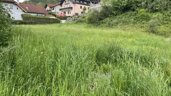 Expose Schönes Grundstück in Höll