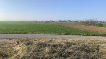 Expose Leben mitten in der Natur!