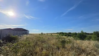 Weitläufiges Feld mit hohem Gras unter strahlend blauem Himmel und einem Gebäude im Hintergrund.