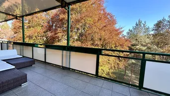 Expose Renovierte Terrassenwohnung inkl. DAN Küche