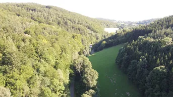 Expose Baugrundstück in Alleinlage umgeben von Wald!