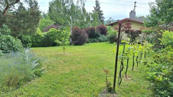 Expose Weingebirge Rechnitz: Einzigartige Liegenschaft mit herrlichem Ausblick!