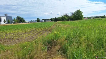 Expose Oberwart: Betriebsbaugrund am Stadtrand!