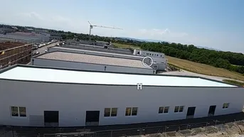 Expose Neue Halle