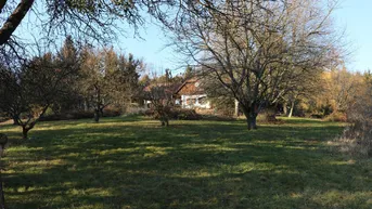 Expose Nähe Jennersdorf: Absolute Einzellage mit einzigartigem Fernblick, 1,6 ha