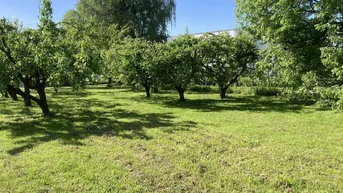 Expose Zentrum Oberwart: Bauland-Geschäftsgebiet