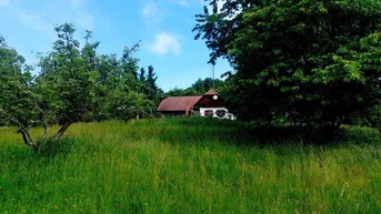 Expose Nähe Jennersdorf: Absolute Einzellage mit einzigartigem Fernblick, 1,6 ha