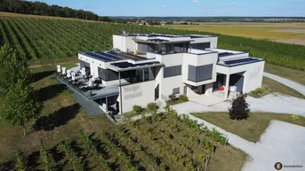 Expose Weingut mit ca. 4 ha Weingärten im Südburgenland!