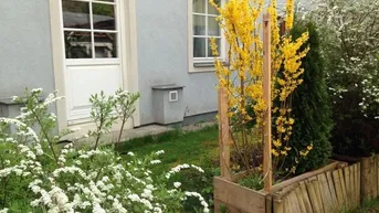 Expose Wohnen in der Altstadt mit kleinem Garten