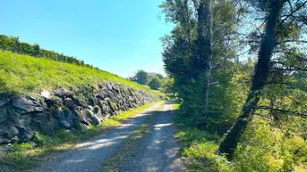 Expose SCHEIBENGRUND an der Weinstraße