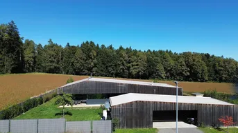 Expose Architekten - Bungalow