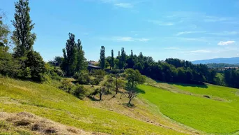 Expose SCHEIBENGRUND an der Weinstraße