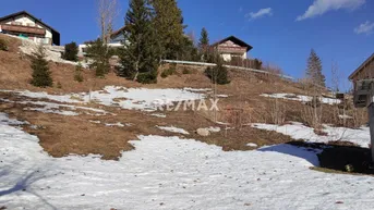 Expose Baugrund in sonniger, harmonischer Hanglage in Wörschachwald