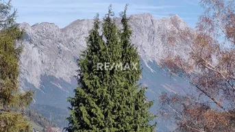 Panoramablick auf die majestätischen Berge mit üppigen Nadelbäumen im Vordergrund unter blauem Himmel.
