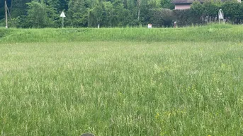 Expose " Baugrund Eigenheim in Ried am Riederberg ohne Bauzwang - Leben im Wienerwald "
