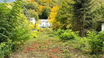 Expose "Rarität - Baugrund in Mauerbach an der Grenze zu Wien"