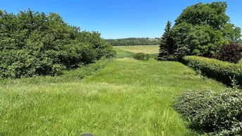 Expose "Baugrundstück in Saladorf mit ca. 749 m² in der Gemeinde Würmla"