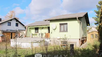 Expose "Der Sommer kann kommen"