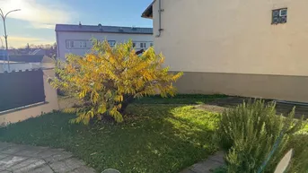 Expose "Mini Garten sucht neue liebevolle Pfleger"