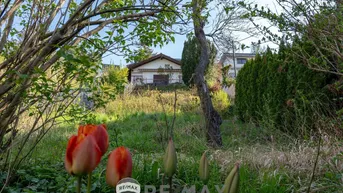 Expose „Besitzen statt träumen: Ihr Gartenparadies am Hackenberg“