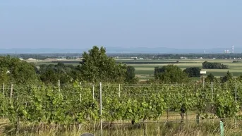 Expose "Der schönste Baugrund am Wagram"