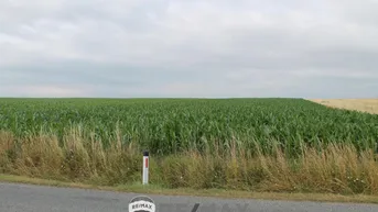 Expose "Landwirte aufgepasst!"