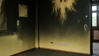 Expose Phönix aus der Asche