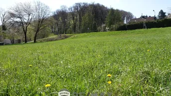 Expose "Baugrund Eigenheim in Ried am Riederberg ohne Bauzwang - Leben im Wienerwald "