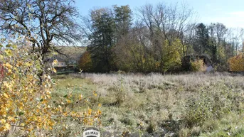 Expose "Jede Menge Platz!"