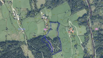 Expose Land- und forstwirtschaftliche Fläche mit 37.394 m² in Puchreit (Bezirk Spittal / Drau)