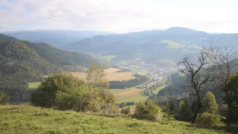 Expose Land- und Forstwirtschaft mit Gebäude in Pirkach bei Brückl (Bezirk St. Veit an der Glan)