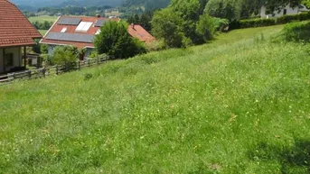 Expose Baugrundstück leichte Hanglage mit sonnigen Aussichten in Weitensfeld im Gurktal