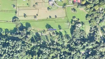Expose Landiwrtschaftliche Flächen in Jaunstein/Globasnitz - 1,7 ha Wiese, Weide, Wald