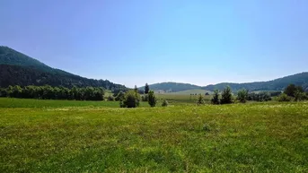 Expose Baugrundstück mit viel Sonne in Liebenfels/Lorberhof